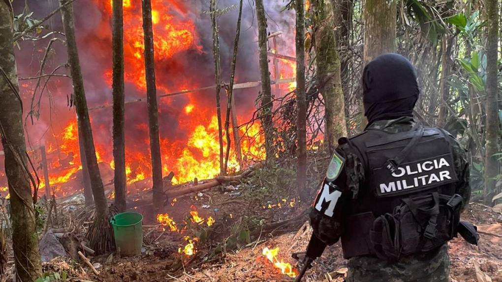 Hojas secas, molidas y plantas de coca: incineran narcolaboratorio en Limones, Catacamas