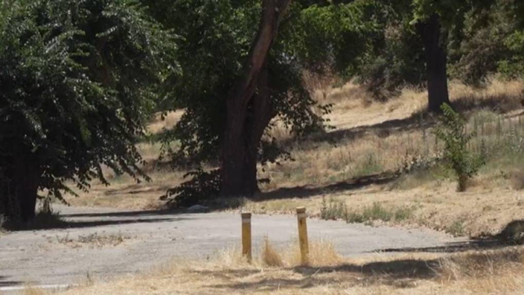 “Dejaron grandes trozos de ella por todo el lugar”: Familia de indigente triturada por podadora narra la tragedia