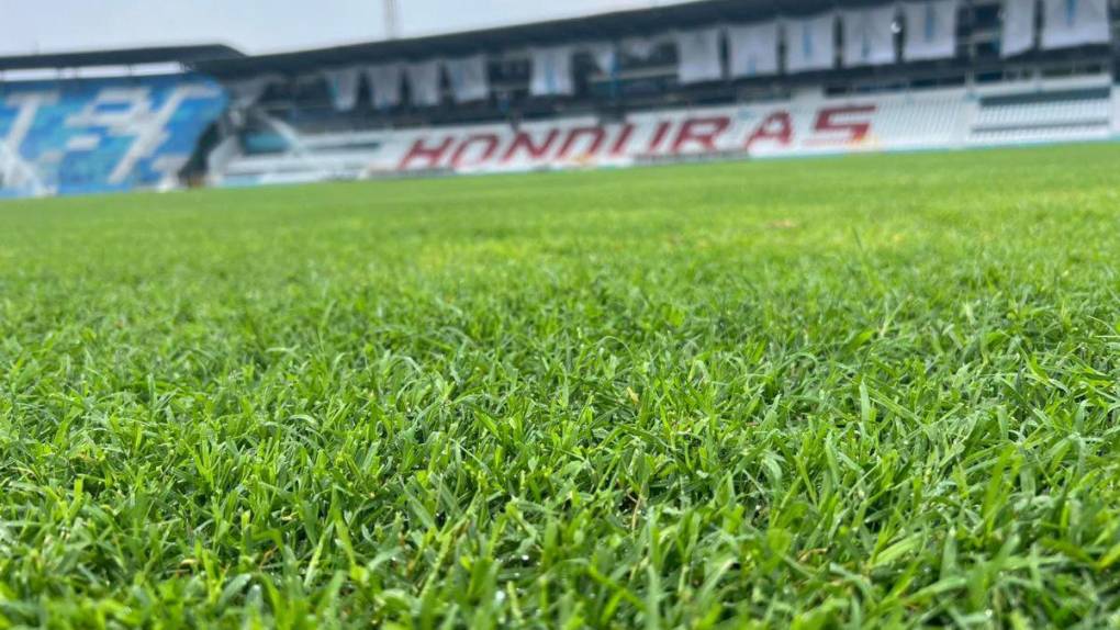 Así luce la nueva grama híbrida del Estadio Nacional