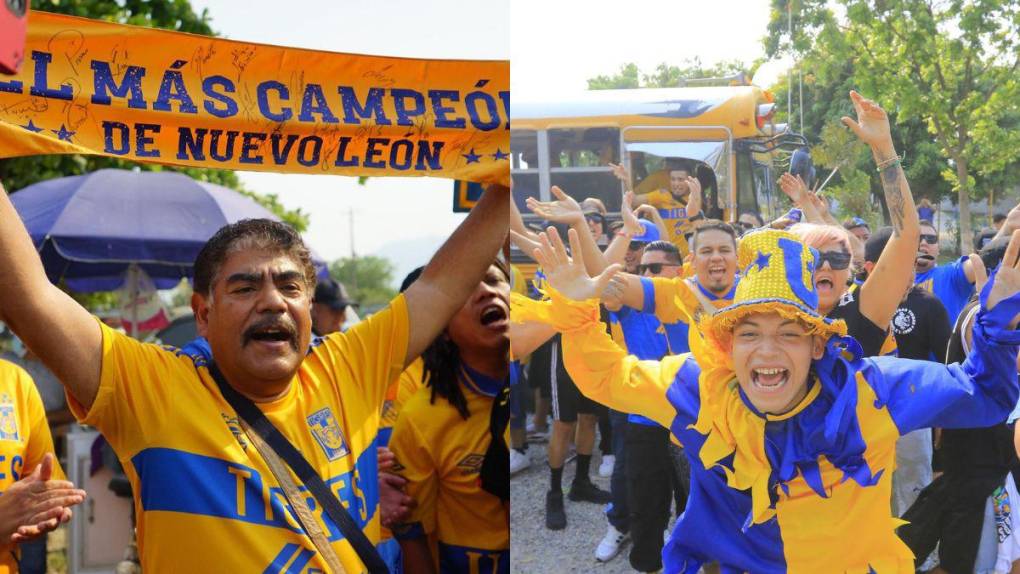 ¡Invasión felina! Barra de Tigres llega al Olímpico para el partido frente a Motagua