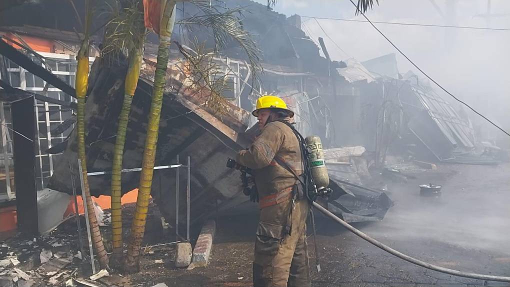 Por aire y tierra luchan para apagar voraz incendio en la capital