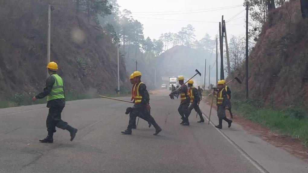 Así consume el bosque incendio desatado en el cerro de Uyuca