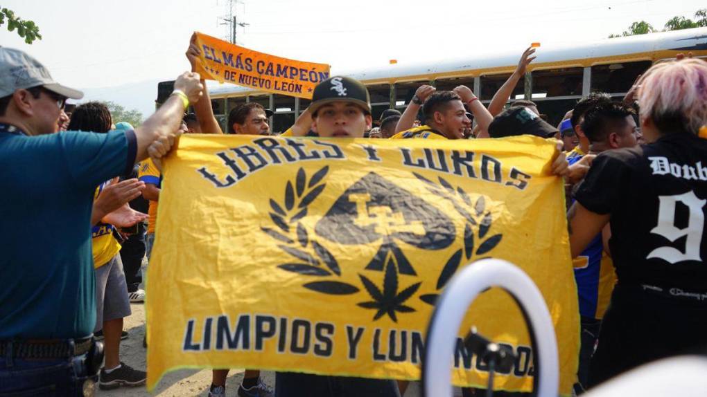 ¡Invasión felina! Barra de Tigres llega al Olímpico para el partido frente a Motagua