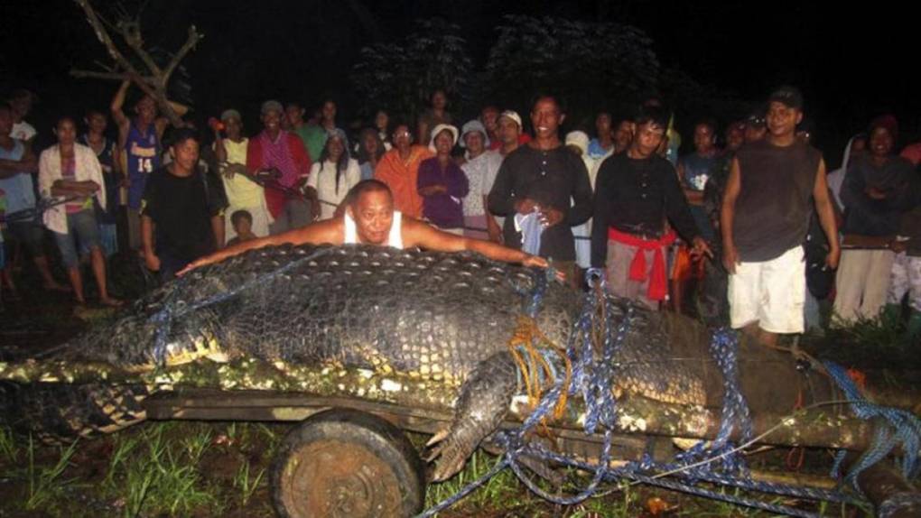 Lolong: La historia del cocodrilo más grande del mundo en cautiverio