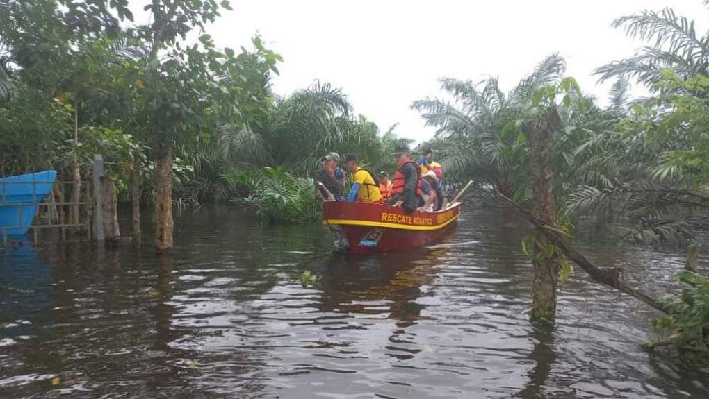 Sacados en brazos, con pocas pertenencias y sus animalitos: el drama que viven familias evacuadas (Fotos)