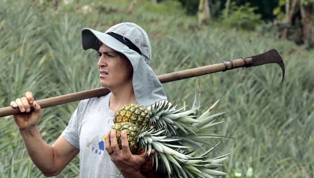 Chelito Martínez y su cambio de vida: de cortar piñas a disputar la final con Marathón