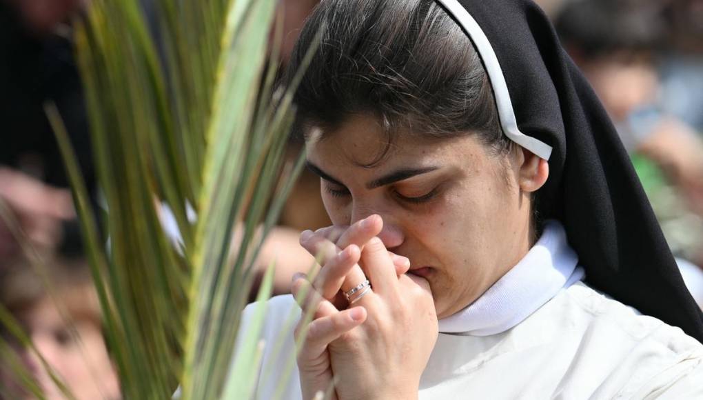 Papa Francisco encabezó celebración del Domingo de Ramos