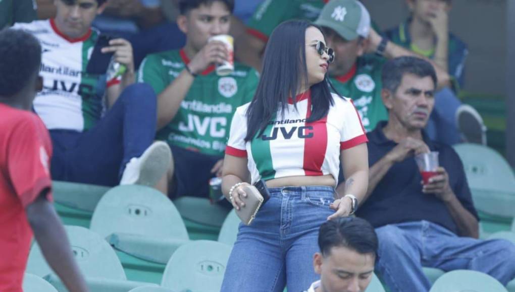 El Yankel estuvo lleno de hermosuras: Las bellas mujeres que visitaron los estadios