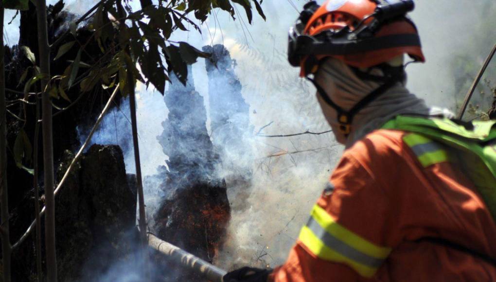 Desolación y aire contaminado en la capital dejan incendios forestales en La Tigra