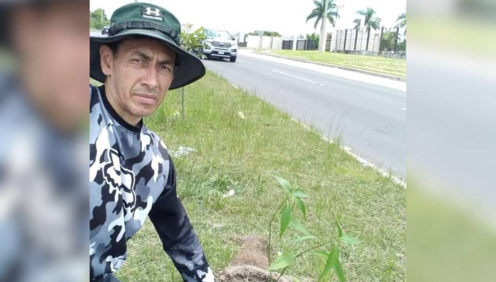 ¡300 árboles, un solo hombre!: Javier Rivera, el hondureño que inicia reforestación en la capital