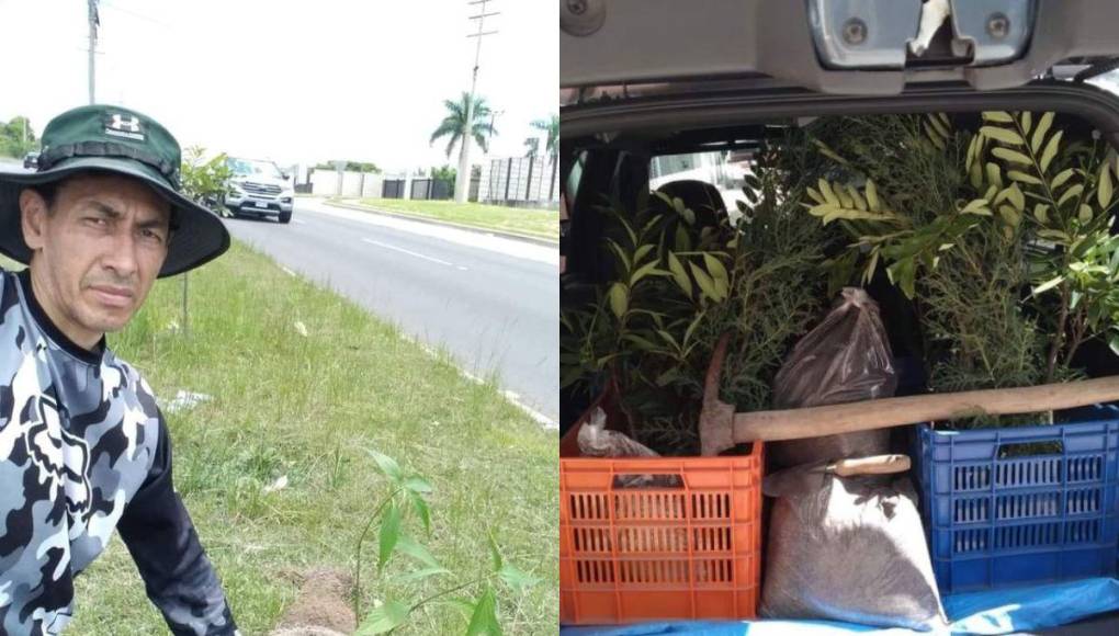 ¡300 árboles, un solo hombre!: Javier Rivera, el hondureño que inicia reforestación en la capital