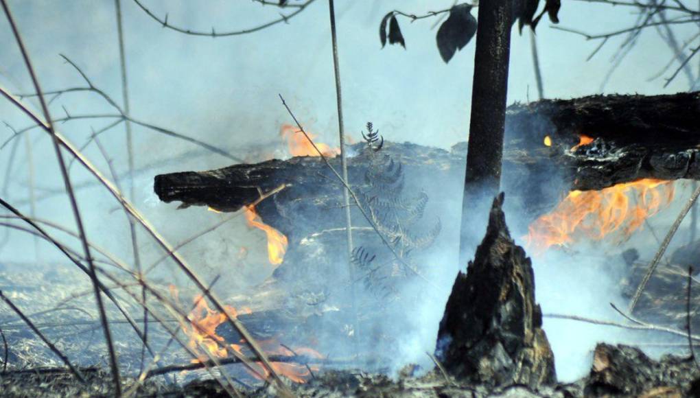 Desolación y aire contaminado en la capital dejan incendios forestales en La Tigra