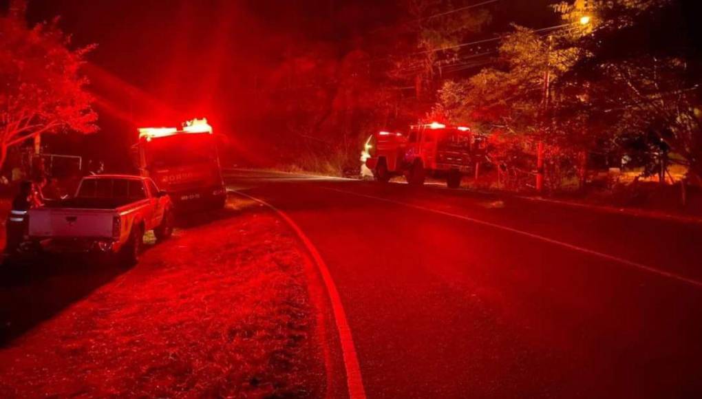 Pérdidas de hectáreas y muertes de especies: los daños provocados por incendio en La Tigra