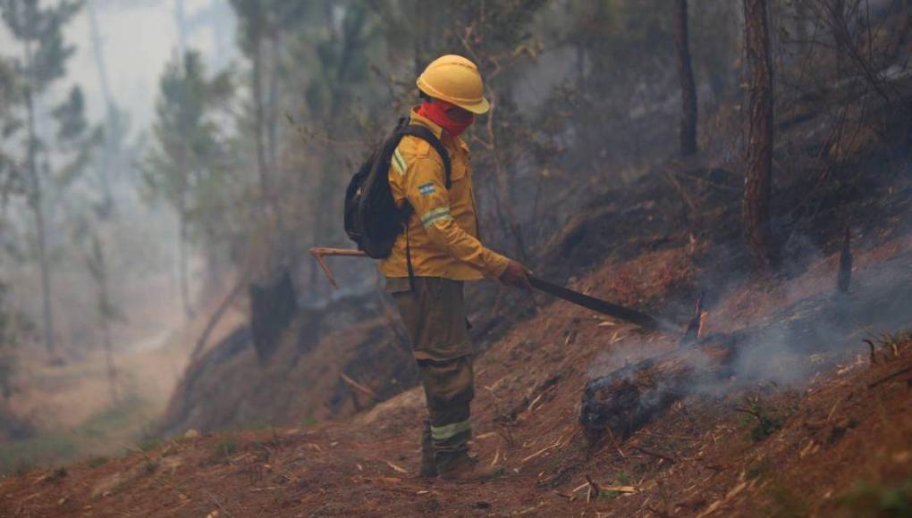 Bruma y árboles quemados se apoderan de La Tigra: así es el ambiente desde adentro