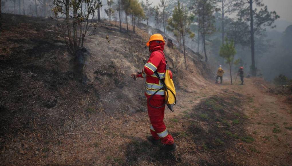 Bruma y árboles quemados se apoderan de La Tigra: así es el ambiente desde adentro