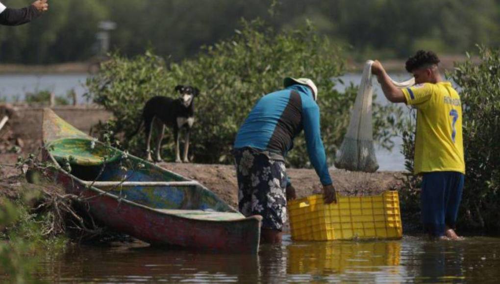 La crisis que sacude a camaroneras hondureñas pese a suspensión de embargo en México