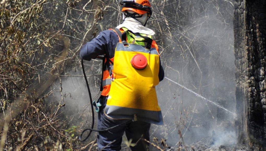 Desolación y aire contaminado en la capital dejan incendios forestales en La Tigra