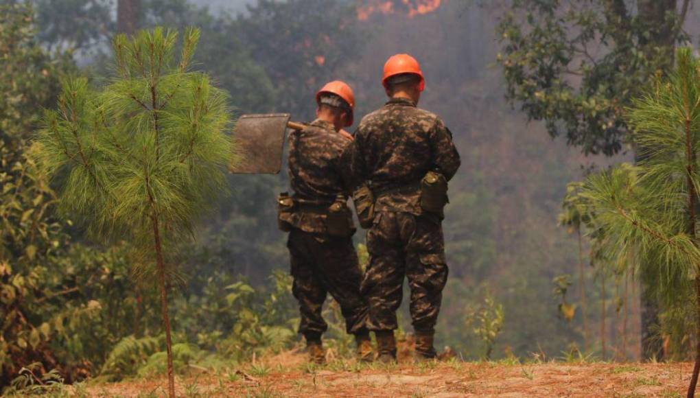 Cansados y sofocados: militares y bomberos trabajan sin cesar para apagar incendio en La Tigra