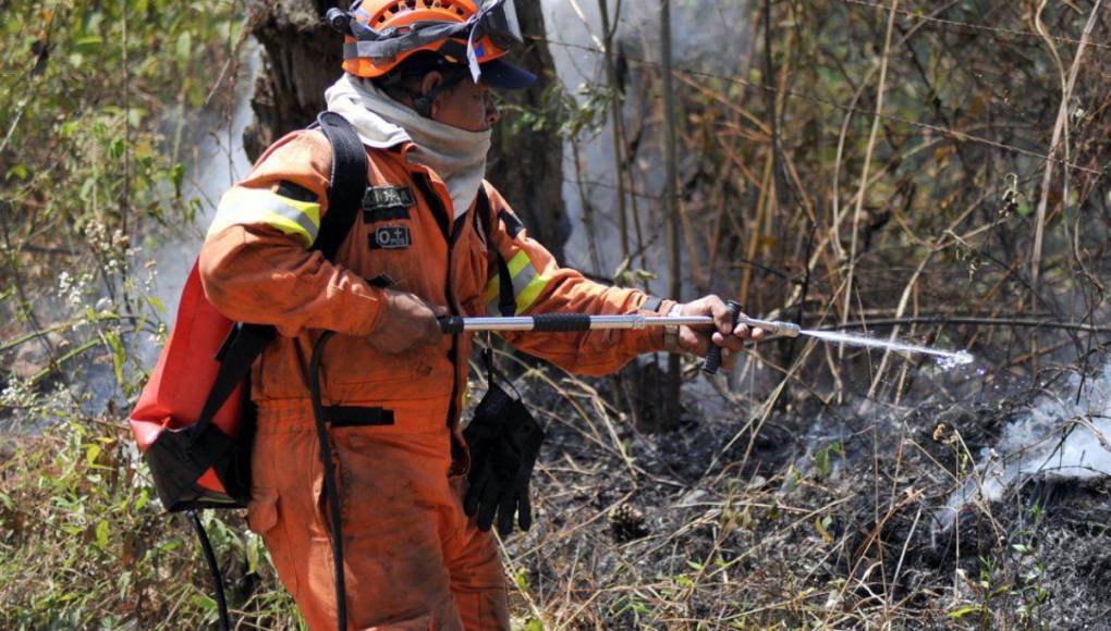 Desolación y aire contaminado en la capital dejan incendios forestales en La Tigra