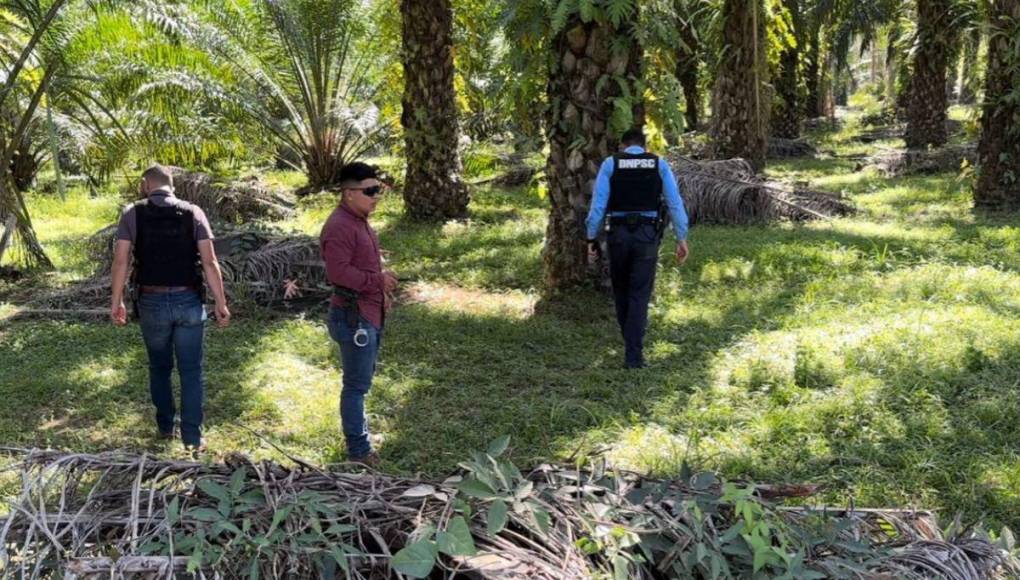 ¿Rito, odio o sadismo? Tres crímenes en apenas un año donde les sacaron el corazón a las víctimas