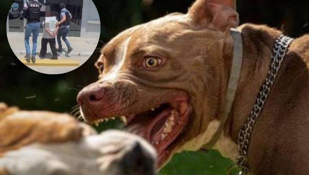 Dueño de perro asesinó a machetazos a vecino: lo que se sabe del crimen en San Pedro Sula