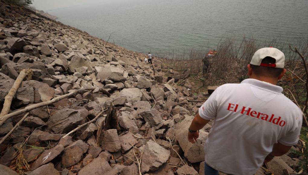 Así es la “isla de patos” que están devorando los peces y afectando a pescadores en la represa ‘El Cajón’