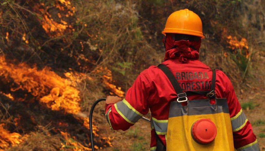 Cansados y sofocados: militares y bomberos trabajan sin cesar para apagar incendio en La Tigra