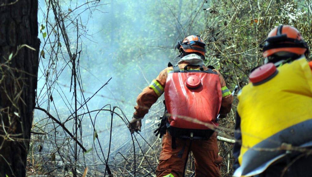 Desolación y aire contaminado en la capital dejan incendios forestales en La Tigra