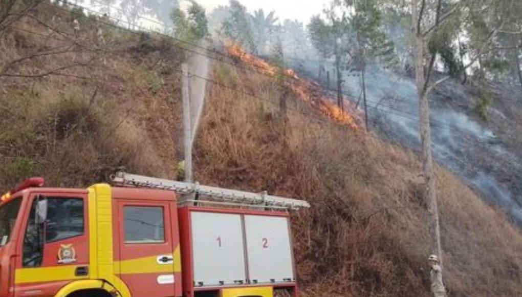 Uso de helicópteros y personal en tierra: así luchan los bomberos para controlar incendio en La Tigra