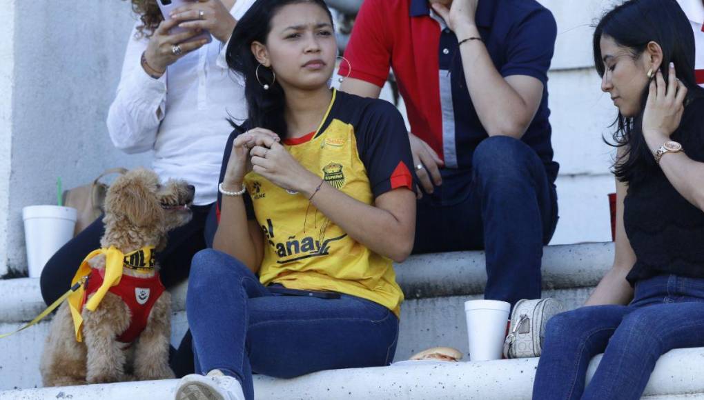 Hermosas chicas roban miradas en el clásico Real España vs Marathón