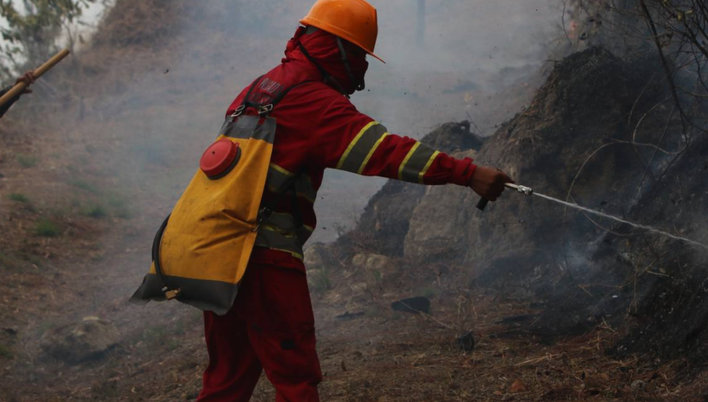 Fotos del incendio en La Tigra: El escenario devastador en el pulmón de la capital