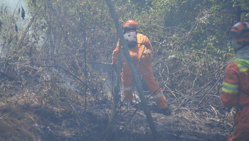 Desolación y aire contaminado en la capital dejan incendios forestales en La Tigra