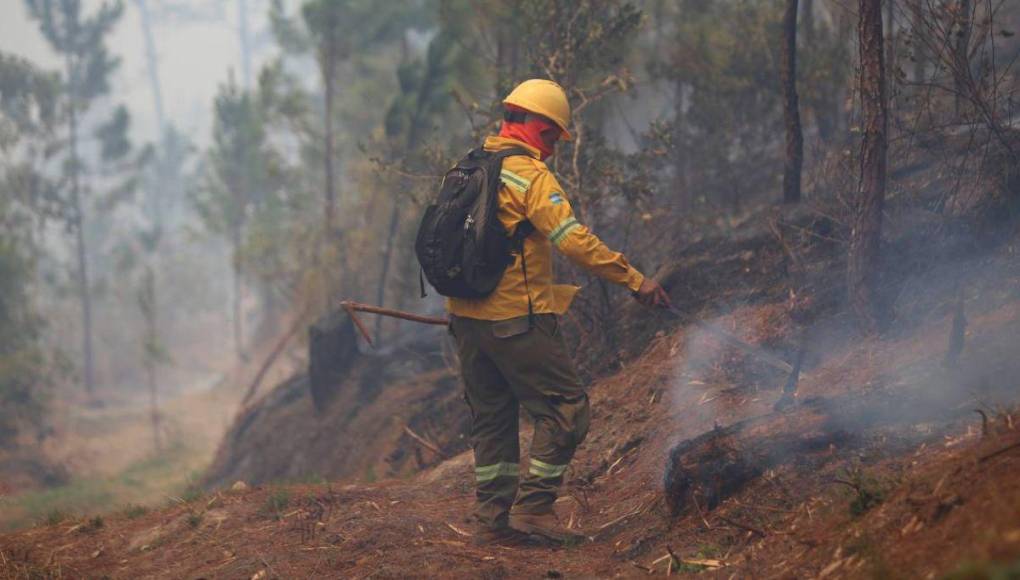 Cansados y sofocados: militares y bomberos trabajan sin cesar para apagar incendio en La Tigra