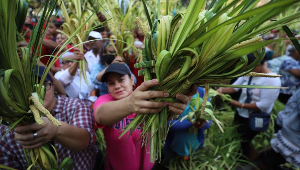 Con mucho fervor, capitalinos celebran el Domingo de Ramos