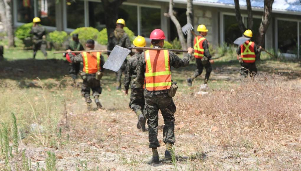 Bruma y árboles quemados se apoderan de La Tigra: así es el ambiente desde adentro