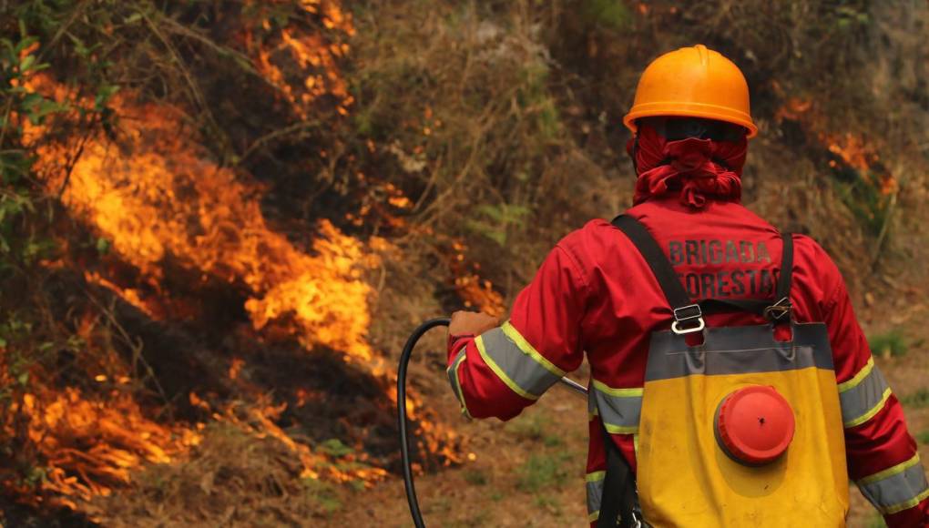 Bruma y árboles quemados se apoderan de La Tigra: así es el ambiente desde adentro