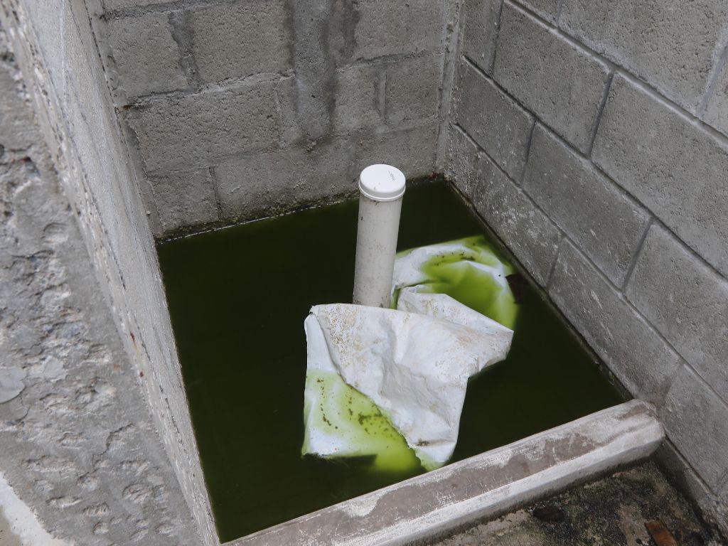 $!Debido a las lluvias, en el interior de las celdas se forman pequeños estanques de agua.