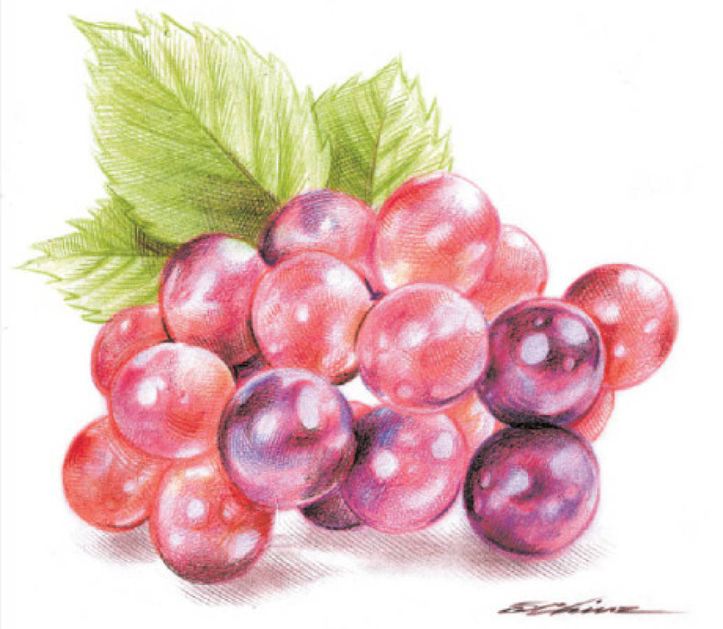 Las uvas agrias (Parte I)