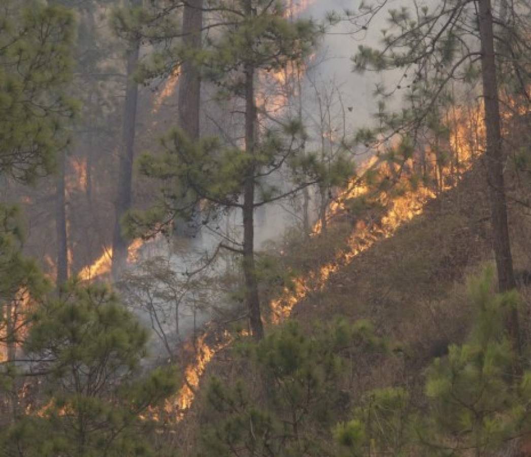 Gestores de La Tigra y Yerba Buena a la espera de fondos de la Ecotasa