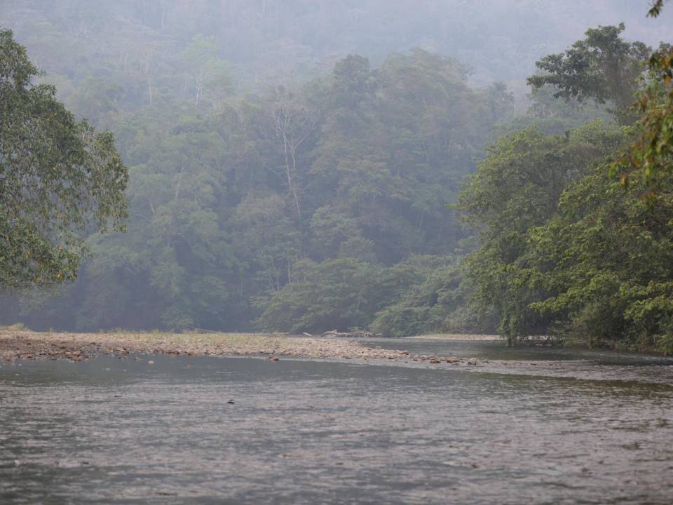 La Unidad Investigativa de EL HERALDO Pius visitó la Reserva de la Biosfera del Río Plátano encontrando severos daños por la deforestación