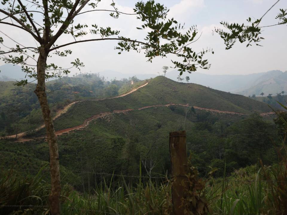 La Unidad Investigativa de EL HERALDO Plus se internó por diferentes narcocarreteras que conectan a la zona núcleo de la Reserva de la Biosfera del Río Plátano en Gracias a Dios.