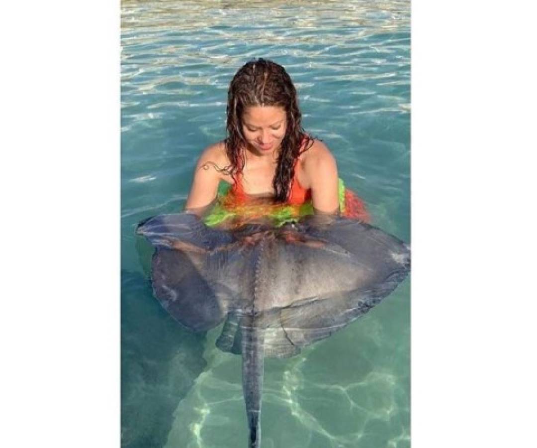 La colombiana regresó al ojo de la tormenta tras compartir una fotografía de ella, en ropa de baño, junto a una mantarraya.