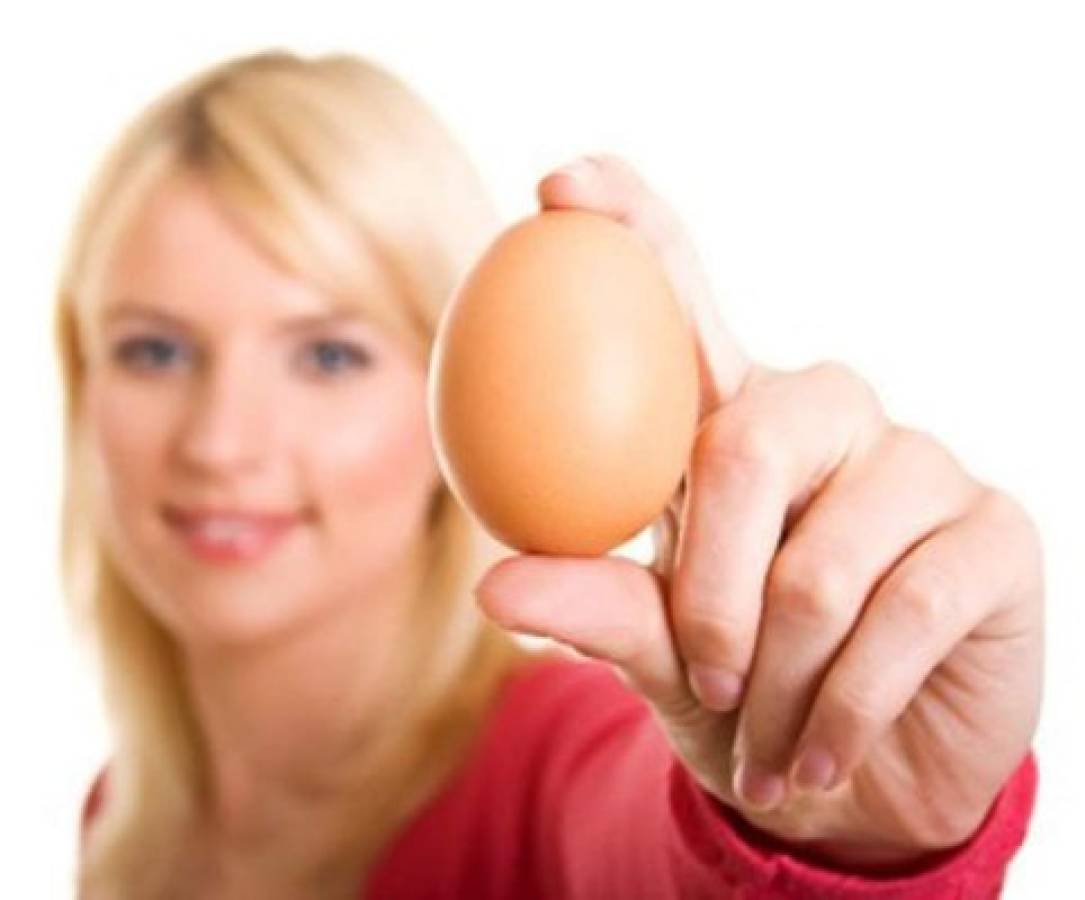 ¿Los huevos que consumes provienen de gallinas saludables?