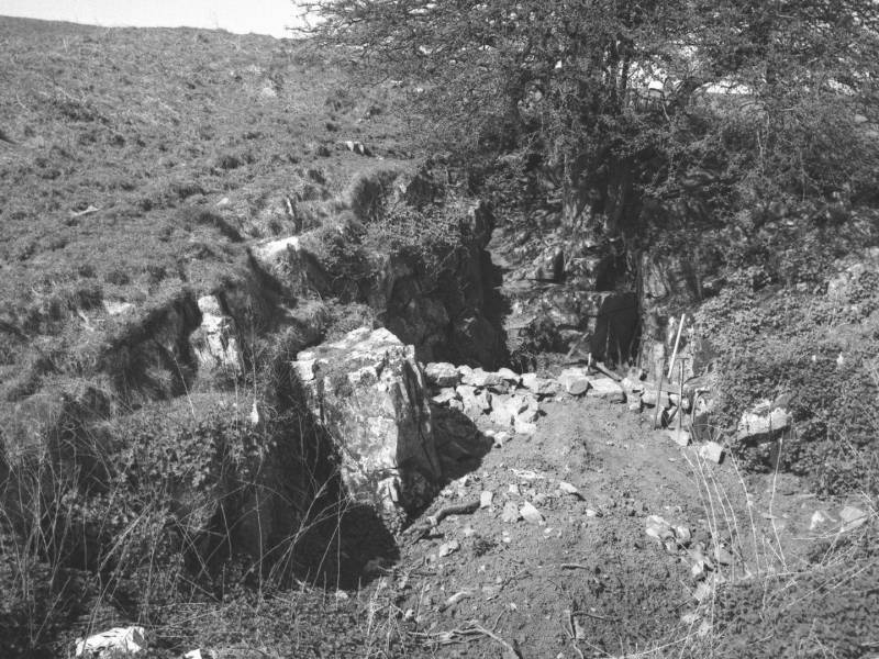 El sitio de Charterhouse Warren Farm en el suroeste de Inglaterra, antes de ser excavado inicialmente en los 70s.