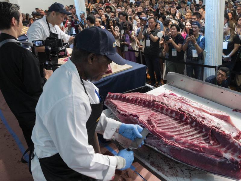 Kouama Yanta, presentado como “el mejor cortador de atún en el área metropolitana de Nueva York”, cortó un atún aleta azul antes de rebanarlo en trocitos y servirlo al público en Sushi-Con, un evento en Manhattan.