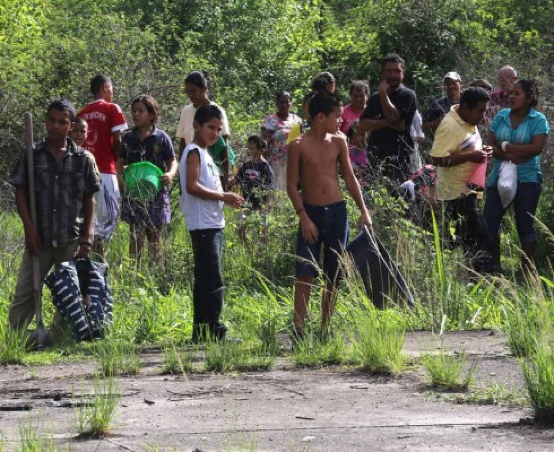 Frijoles enterrados en salida a Olancho son de alta toxicidad