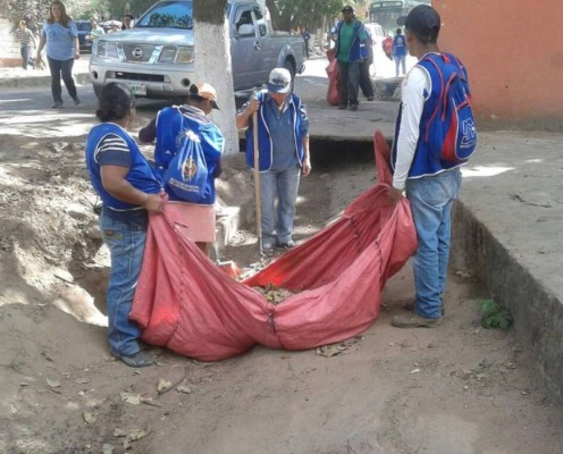 Operativo contra dengue y chikungunya en la Kennedy