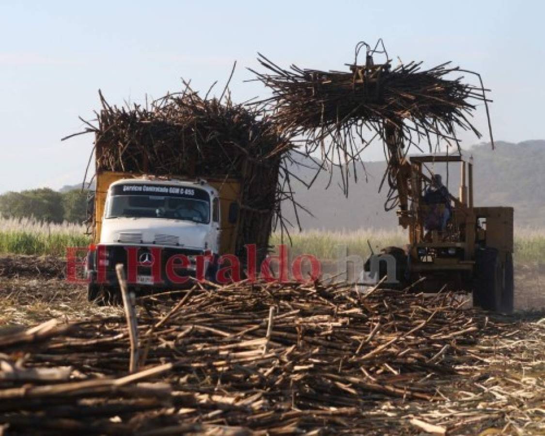 Altas temperaturas causaron explosión en azucarera de Cortés