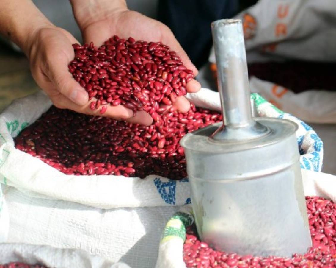 La medida de frijoles sube cinco lempiras