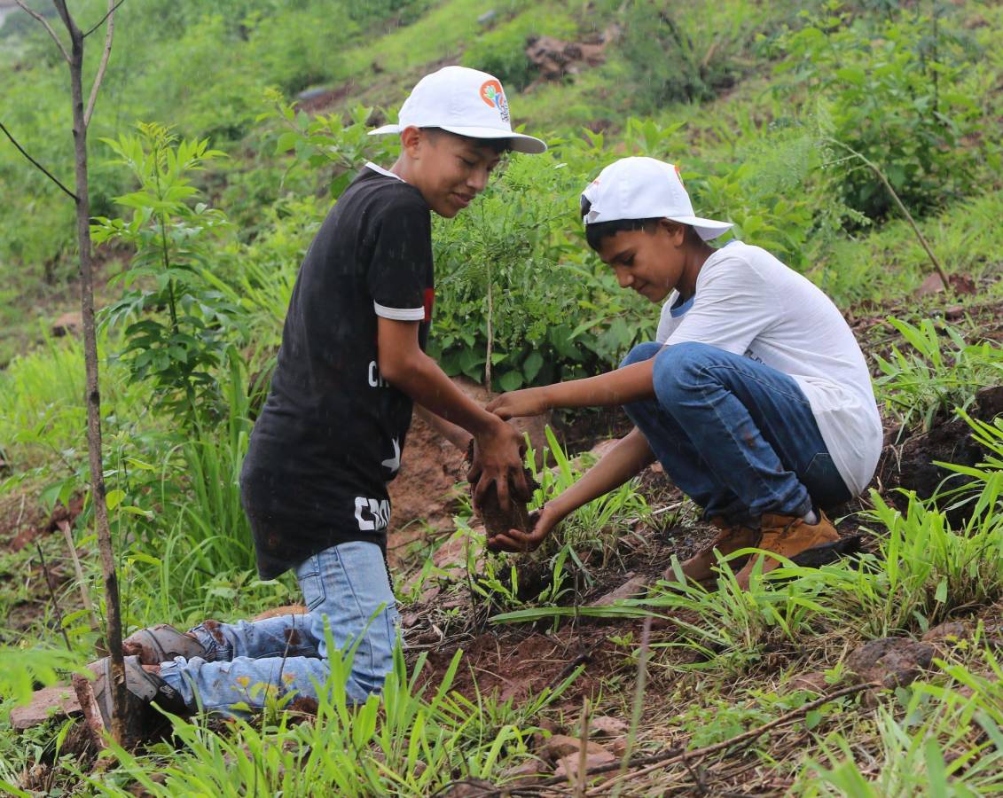 Fundación Terra y escolares al rescate del bosque de la capital